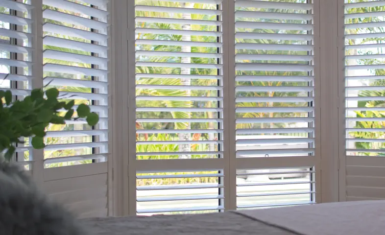 Blinds & Windows Treatments