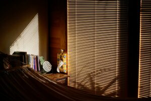 Window Coverings