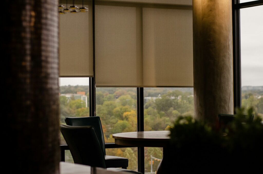 motorized blinds