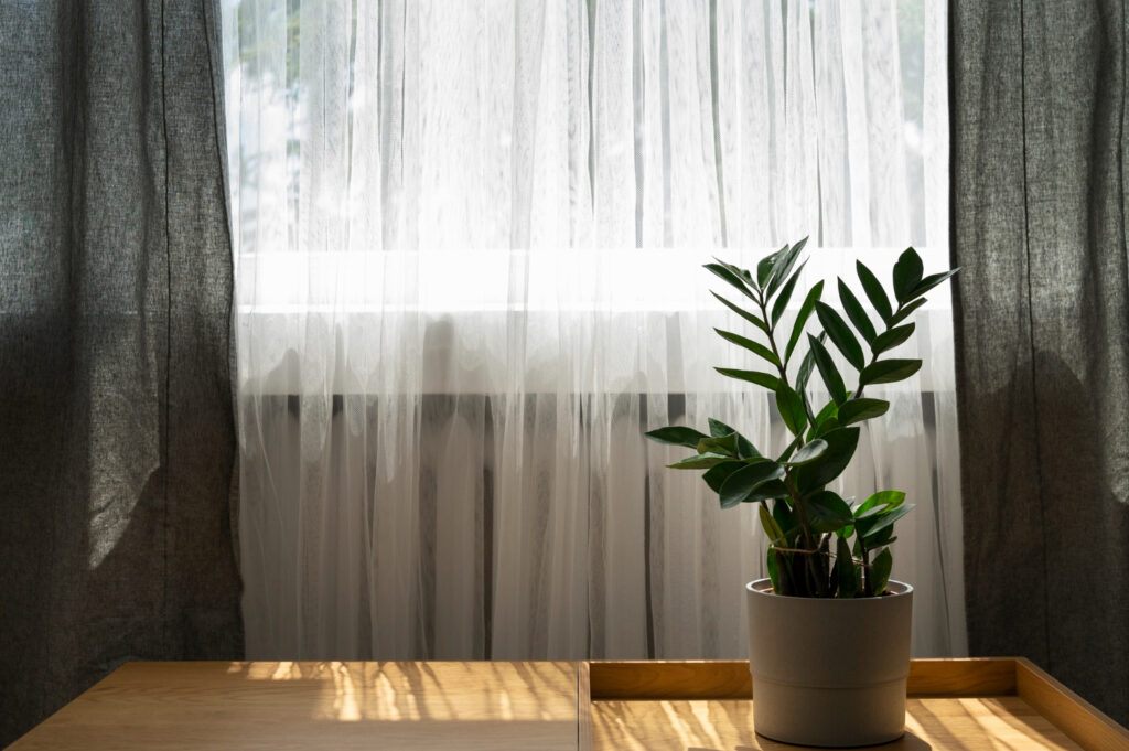 window coverings