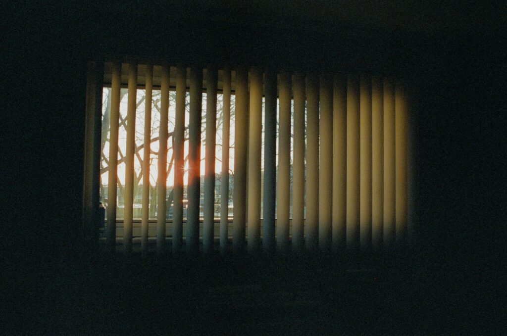 Window