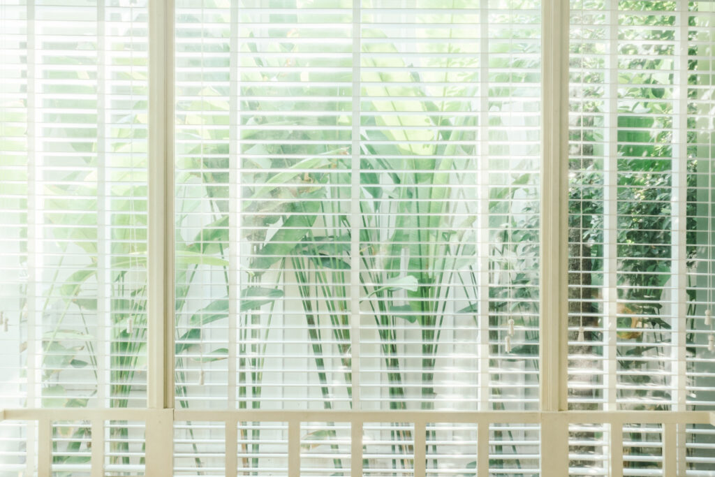 Window Blinds