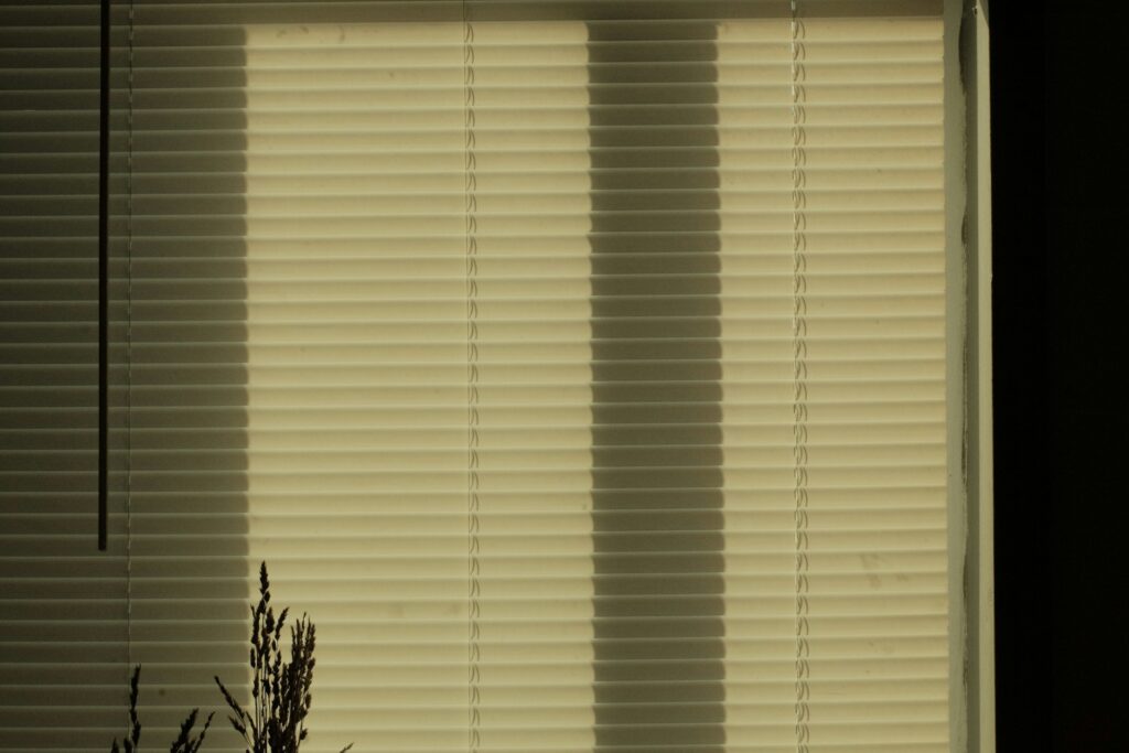 Motorized Shades