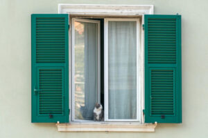 Window Coverings