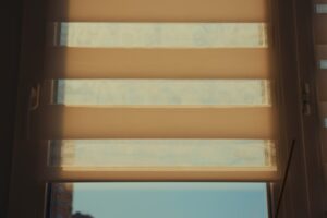 Motorized Shades