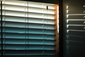 Motorized Shades